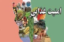 مبادی ورودی، حلقه‌ای نامرئی اما حیاتی در امنیت غذایی کشور هستند