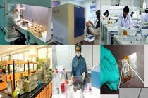 حرکت در مسیر اقتصاد دانش بنیان تنها راه نجات کشور از وابستگی به نفت است