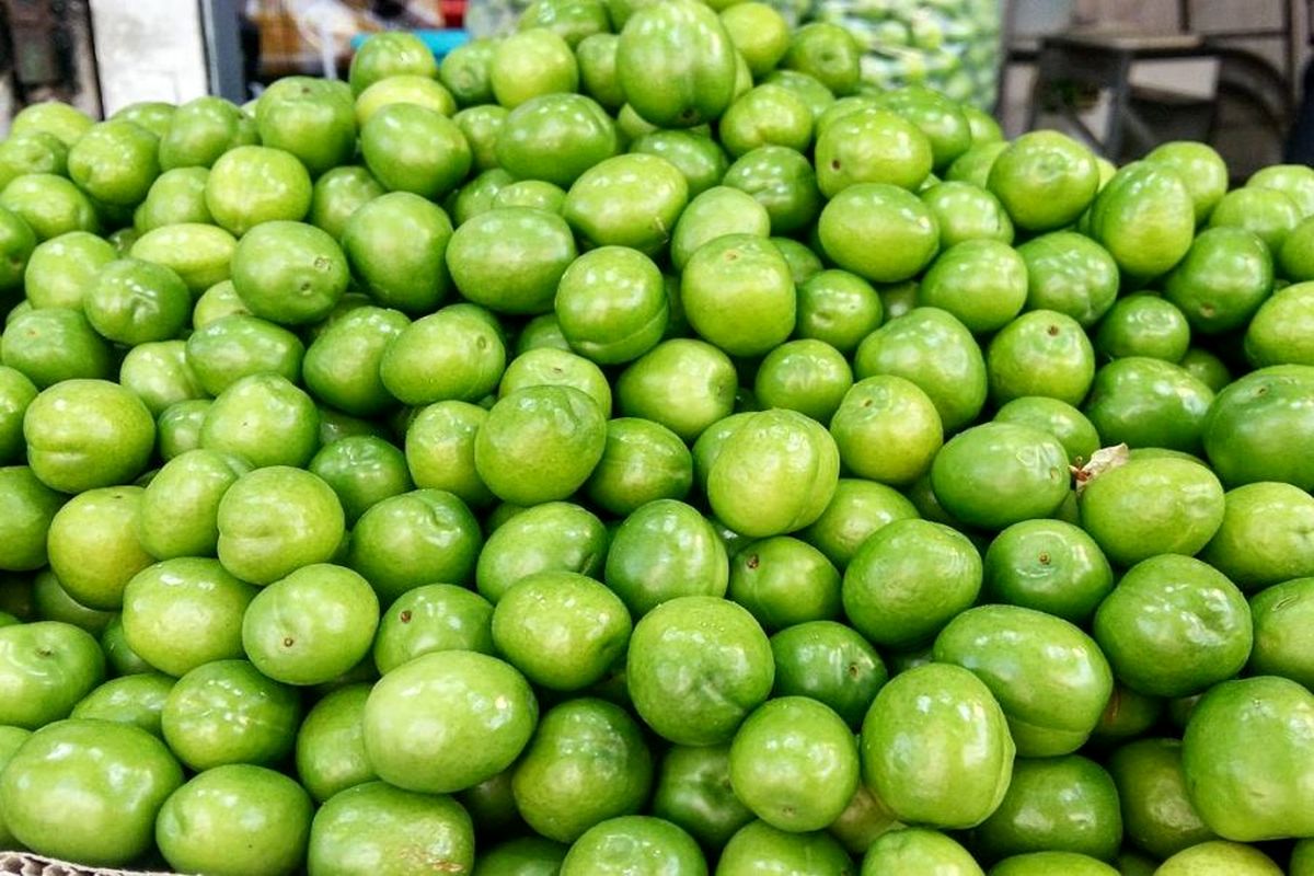 گوجه سبز قزوین