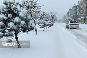 خراسان‌رضوی سپیدپوش شد