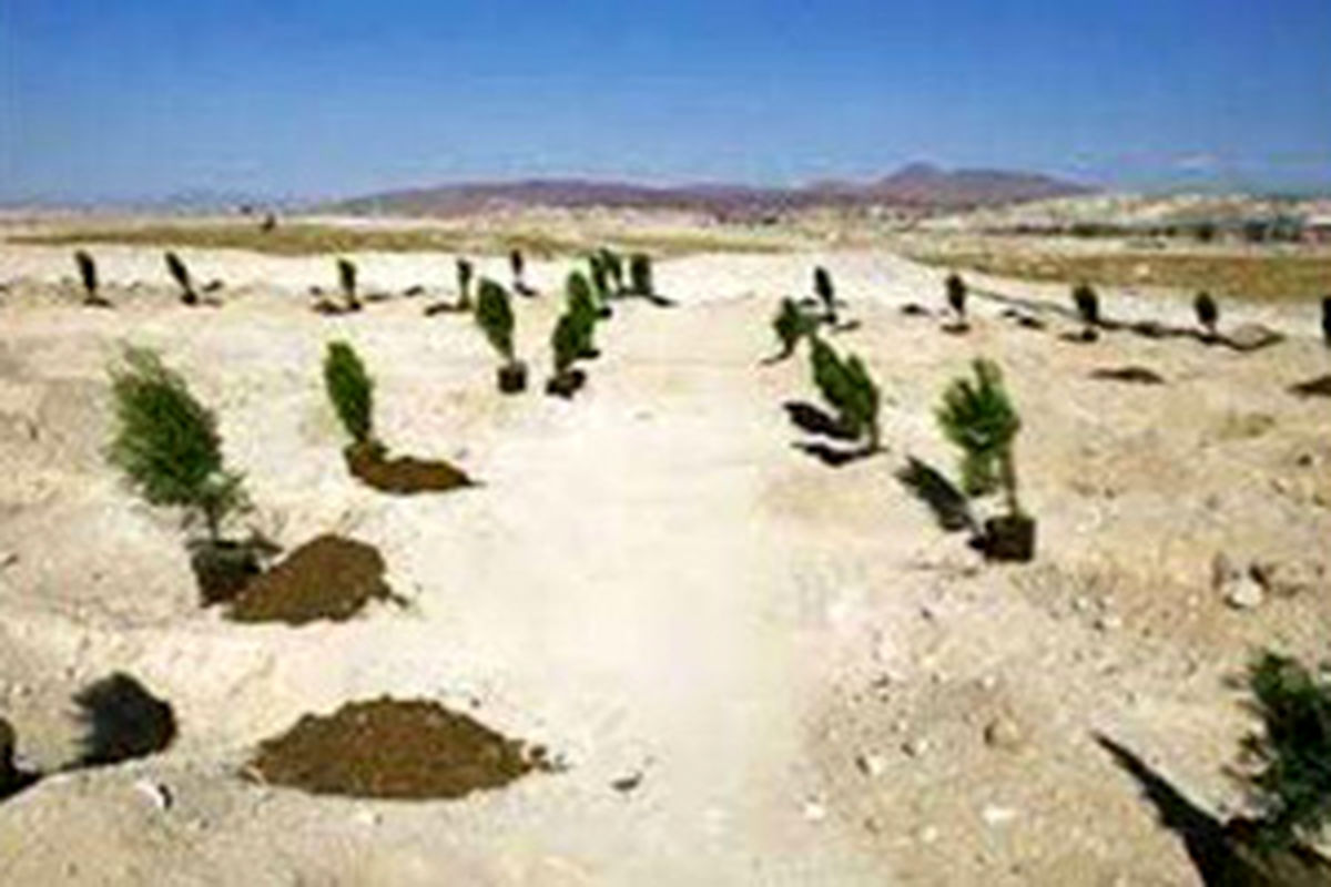 اصفهان- نهال کاری