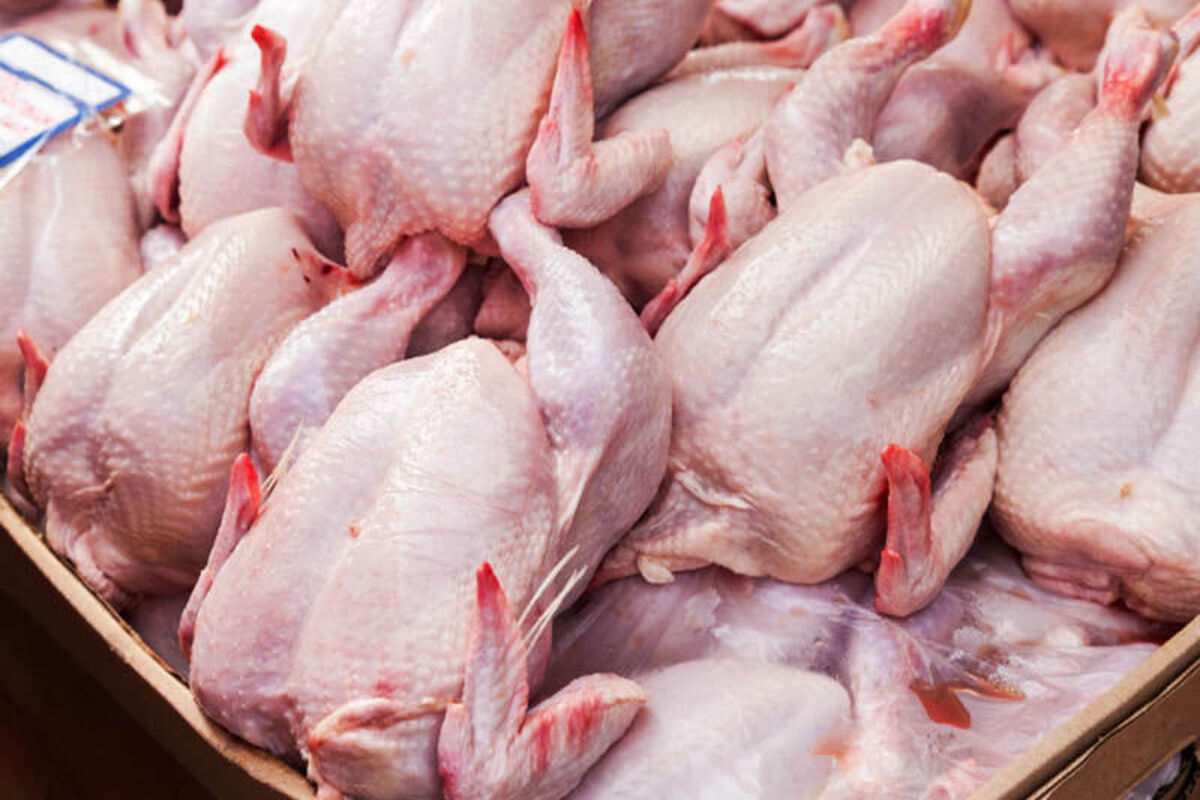 گوشت مرغ