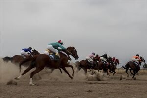 هفته هفتم کورس اسبدوانی تابستانه بندرترکمن برگزار شد
