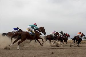 هفته هفتم کورس اسبدوانی تابستانه بندرترکمن برگزار شد