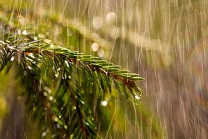 سامانه بارشی طی آخر هفته در خوزستان فعال می شود