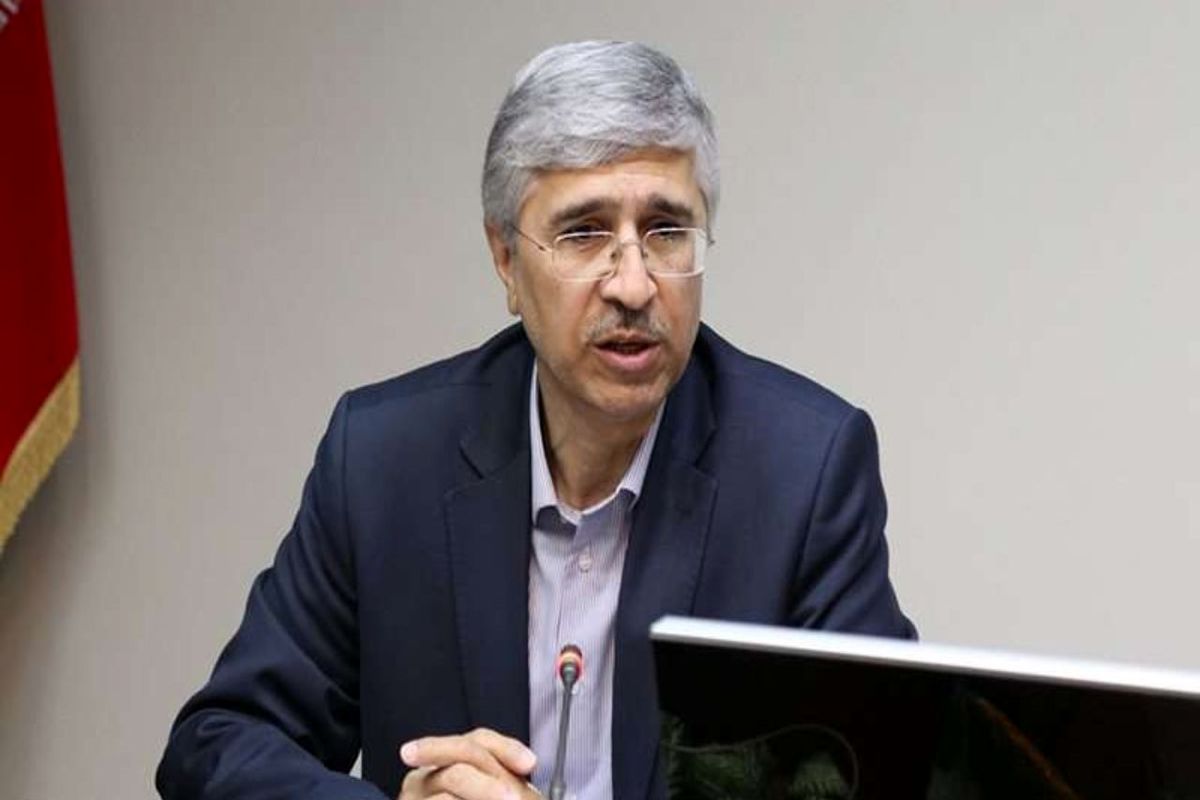 متولی زاده مدیر عامل توانیر