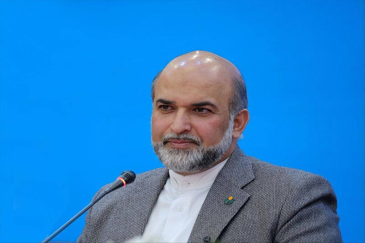 سیدمجید پوراحمدی مدیرعامل صندوق اعتباری هنر