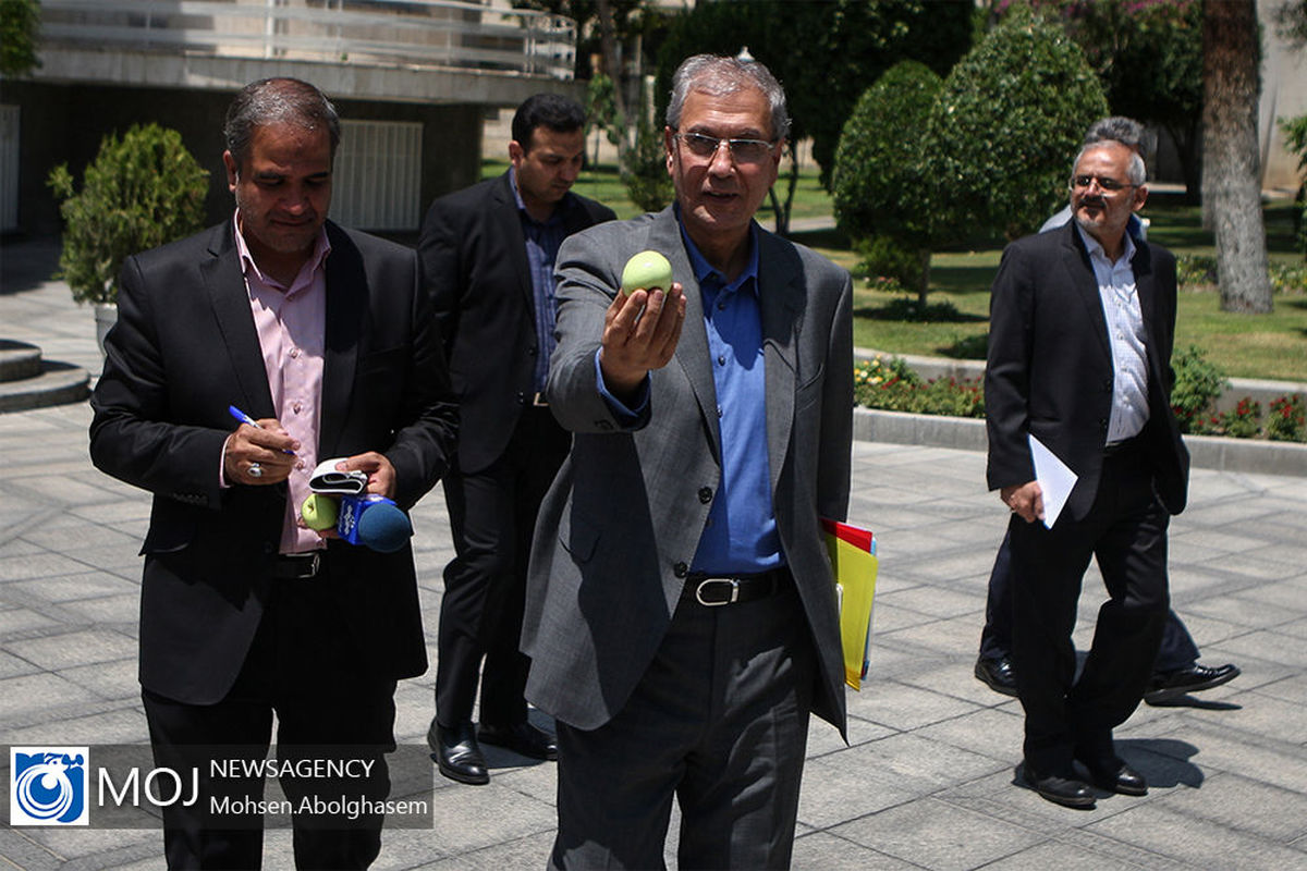 حاشیه+جلسه+هیات+دولت+-+۵+تیر+۱۳۹۸ / علی ربیعی سخنگوی دولت