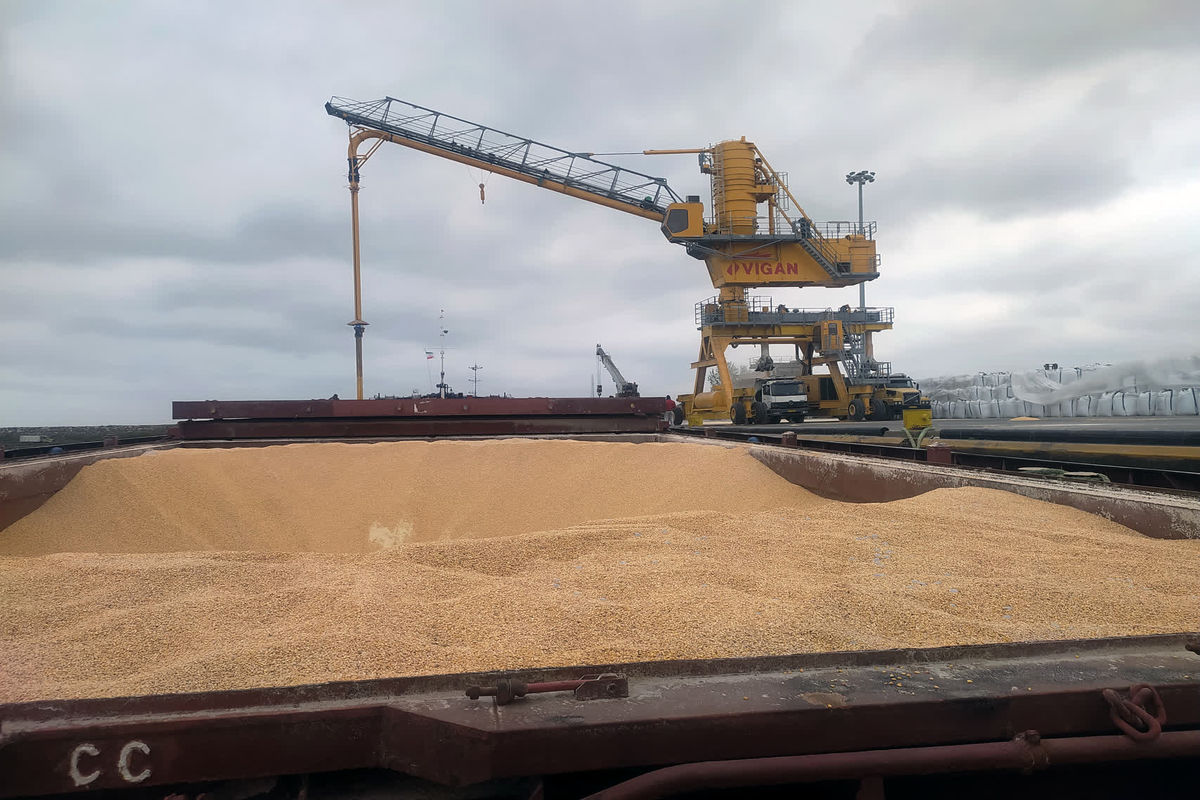 دامپزشکی مازندران