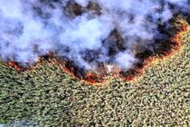 بخش عراقی تالاب هورالعظیم در آتش می سوزد