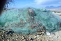  جمع آوری بیش از ۲۵۰۰ متر دام صیادی از سطح دریاچه زاینده رود 