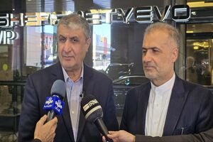 سفر به مسکو نقطه عطف همکاری‌های هسته‌ای ایران و روسیه