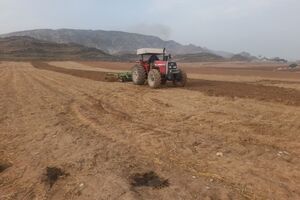 آغاز کشت دانه روغنی کاملینا در ۱۰ هکتار از اراضی بروجن 