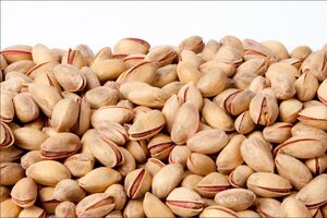 صادرات پسته در حال نابودی است
