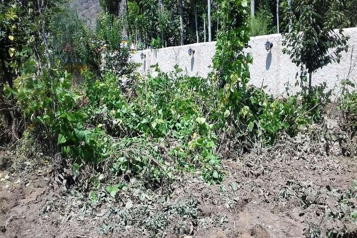 سیل شهر کجور