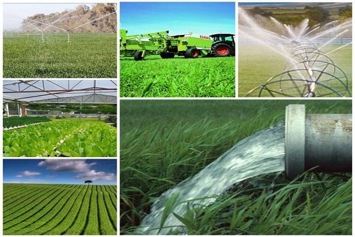 اتاق اصناف کشاورزی ایران
