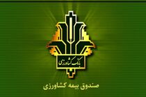 افزایش 140 درصدی غرامت پرداختی به کشاورزان خسارت دیده / جهش ۱۵۰ درصدی تعهدات بیمه گندم