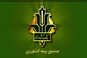 افزایش 140 درصدی غرامت پرداختی به کشاورزان خسارت دیده / جهش ۱۵۰ درصدی تعهدات بیمه گندم