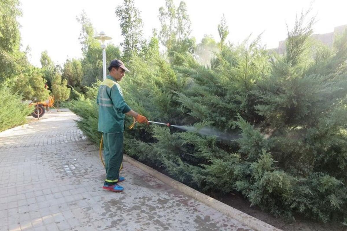 شهرداری قم