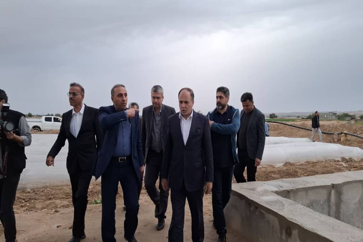 وزیر جهاد کشاورزی از پروژه آبیاری تحت فشار در دشتستان بازدید کرد