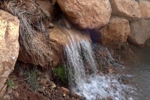 جاری شدن آب در چشمه فصلی آب حاجت درخوانسار