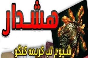 شرق مازندران عاری از آلودگی تب کنگو / دامداران همچنان مراقب باشند