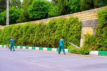 توسعه ۳۰۰ هکتاری فضای سبز و احداث ۳۶ پارک جدید در تبریز