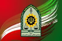 فراجا از دستگیری ۴۶۶ مخل امنیت و فعال در فضای مجازی خبر داد