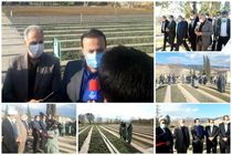 ایلام پیشتاز بیابان زدایی و جنگل کاری در کشور است