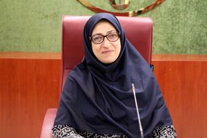 معاون محیط زیست از ارائه پیشنهاد فعالیت بر مسائل محیط زیستی از سوی ایران به افغانستان خبر داد