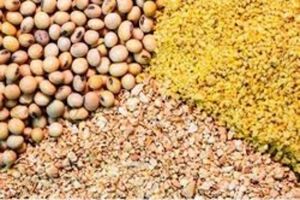 تامین نهاده‌های کشاورزی استان اصفهان از ابتدای سال 1401 تا پایان مردادماه