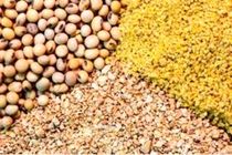 تامین نهاده‌های کشاورزی استان اصفهان از ابتدای سال 1401 تا پایان مردادماه