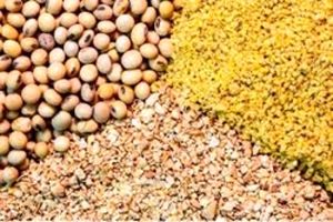 تامین نهاده‌های کشاورزی استان اصفهان از ابتدای سال 1401 تا پایان مردادماه