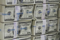 قیمت دلار افزایش یافت