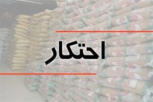 شناسایی ۹ انبار متخلف در فارس؛ ۵۰۳ میلیارد ریال پرونده احتکار به تعزیرات رفت