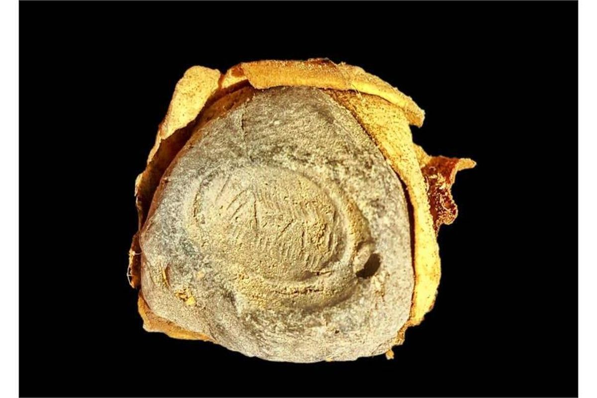 مدیرکل میراث‌فرهنگی مازندران