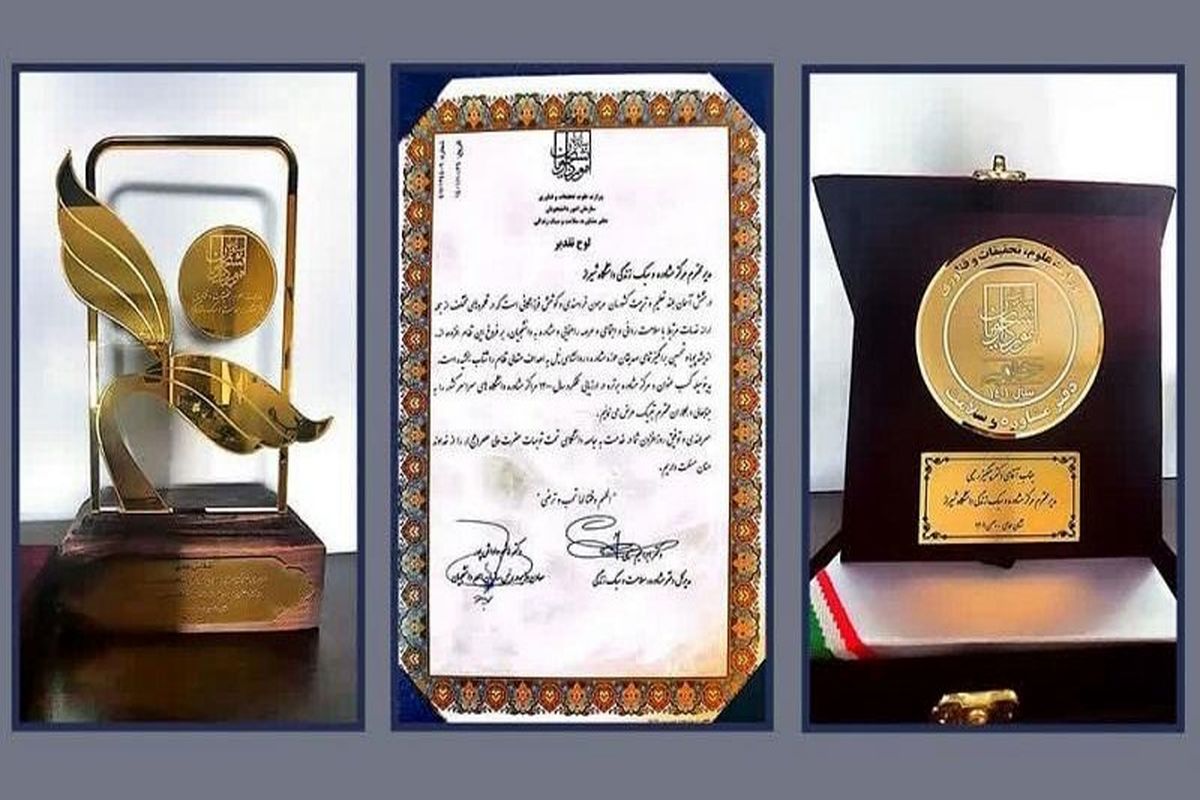 دانشگاه شیراز