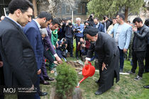 کاشت درخت فرهنگ، هنر و رسانه