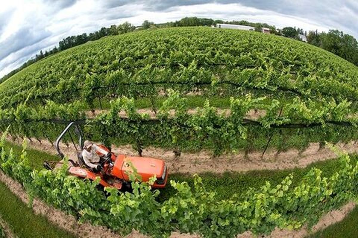 گردشگری کشاورزی