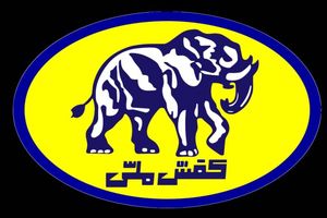 قدردانی کفش ملی از ورود به موقع دیوان محاسبات در‌ واگذاری حقوق مالکانه ملک میدان قیام