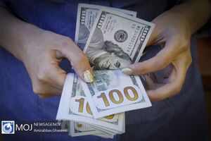 حذف ارز دولتی قیمت دلار را دو برابر می کند