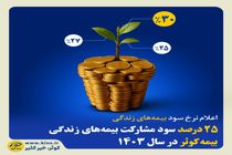 ۲۵ درصد سود مشارکت بیمه‌های زندگی بیمه کوثر در سال ۱۴۰۳