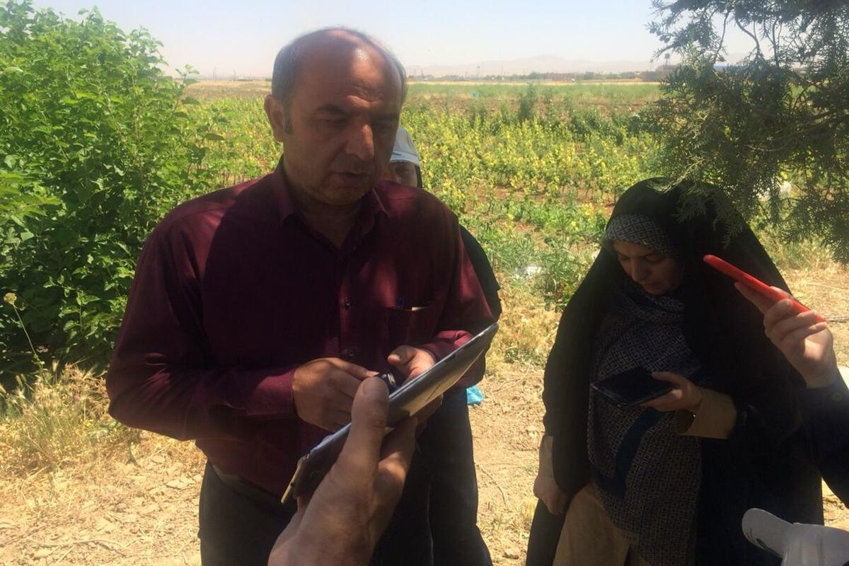 روحانی