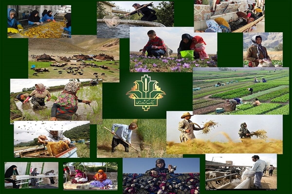 بانک کشاورزی