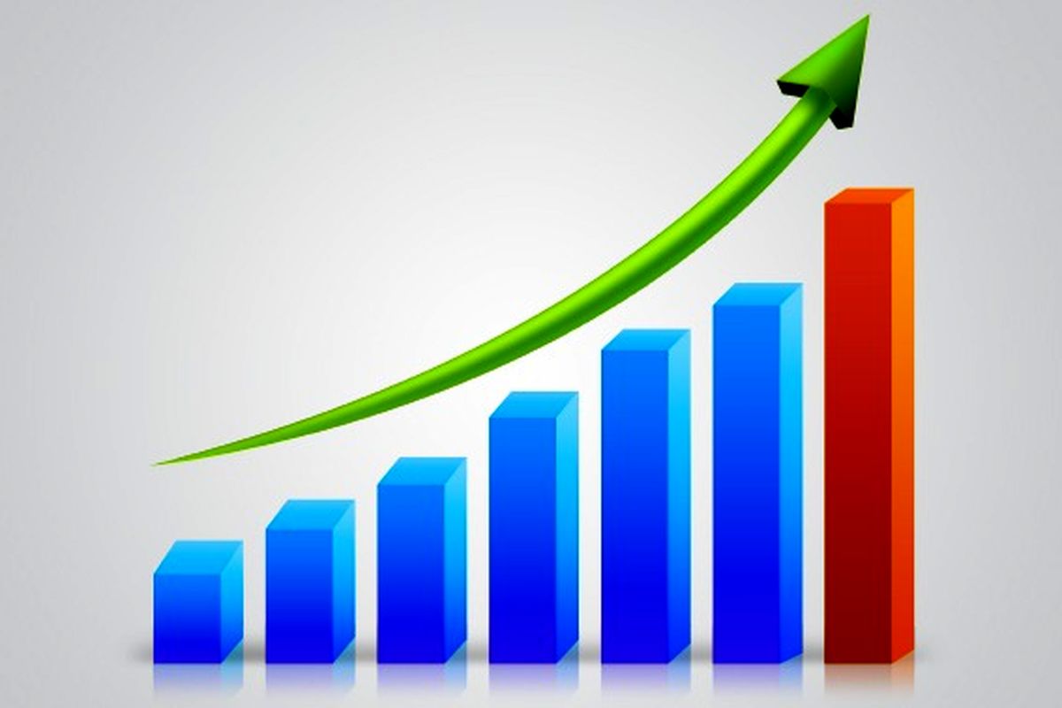 معاون برنامه