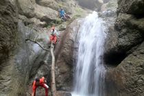 جستجو برای پیدا کردن فرد مفقودشده در جنگل‌های قرن آباد ادامه دارد