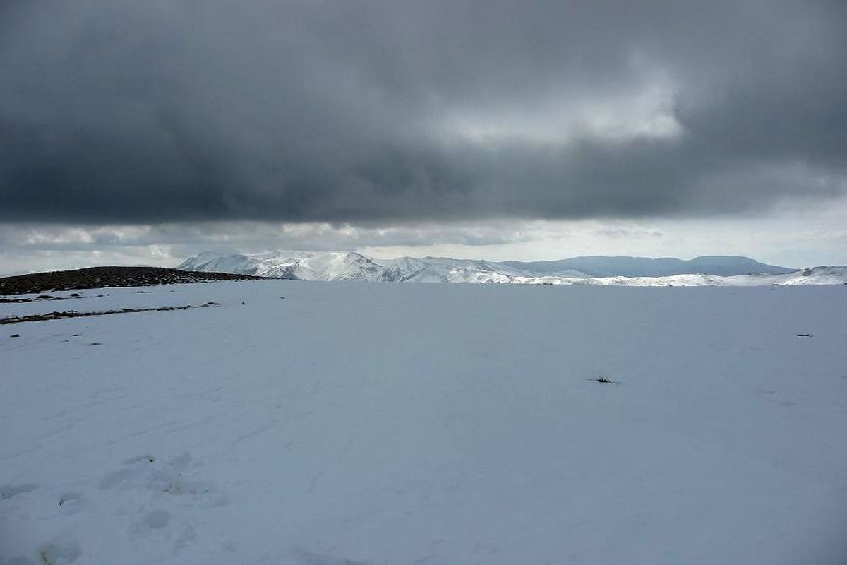 بارش برف در شاه معلم