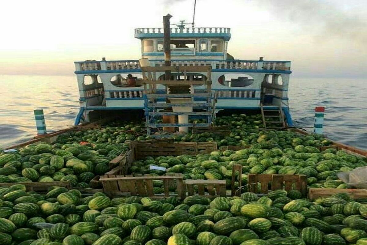 هنودانه+صادرات