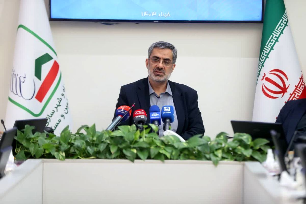 مدیرعامل سازمان ملی زمین و مسکن