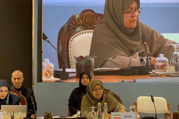 رئیس سازمان استاندارد ایران بر توسعه همکاری‌های بریکس تاکید کرد